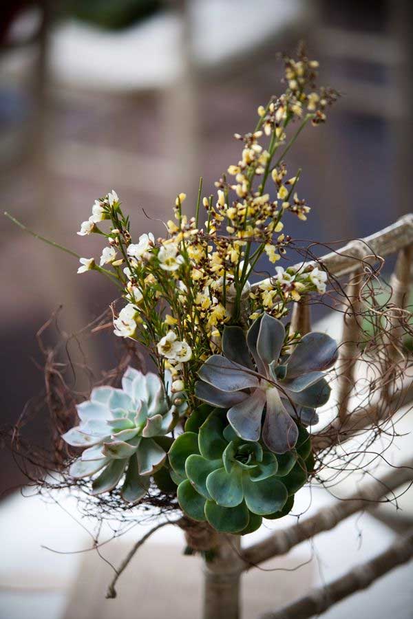 decor de chaise ceremonie naturelle plante succulente
